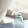 Riviera Pear Petite Essence