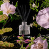 Voluspa Reed Diffuser - Choose Your Scent